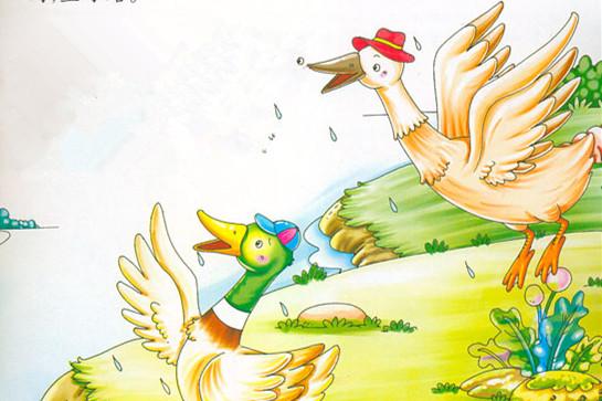 大雁和鸭子的故事
