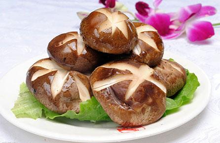 孕妇高血糖能吃香菇吗