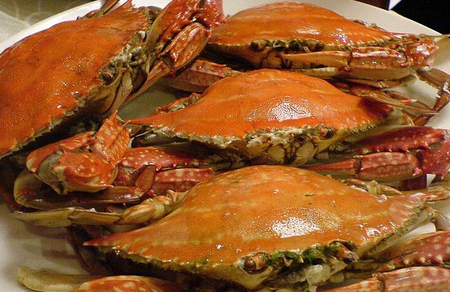 怀孕4周饮食禁忌