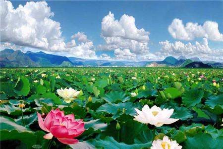 2016五一去哪玩？告诉你五一最适合旅游的几个最美