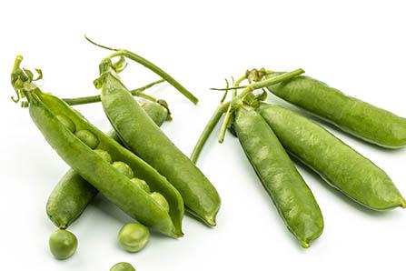 哺乳期吃荠菜回奶吗