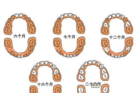 宝宝长牙顺序