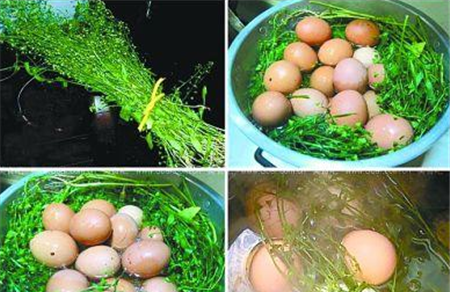 三月三吃荠菜煮鸡蛋，“春食荠菜赛仙丹”