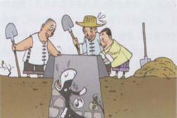 掉进井里的驴子的故事