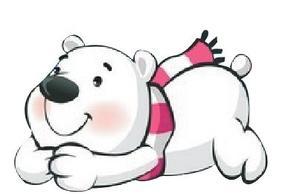 北极熊的星光故事