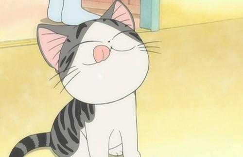 好问的小猫奇奇的故事