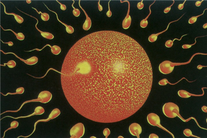 人工受孕对宝宝有影响吗