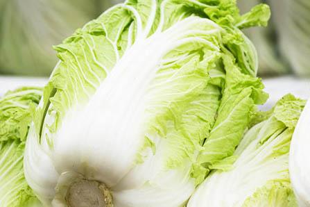 荷兰乳牛奶粉最新价格表