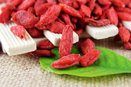 孕妇可以吃枸杞吗