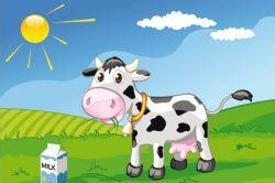 不听话的小牛的故事