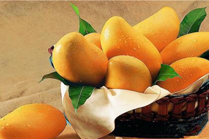 孕妇能吃芒果吗