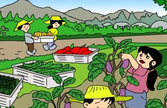 菜园里的故事