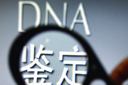 怀孕8周可以做亲子鉴定吗