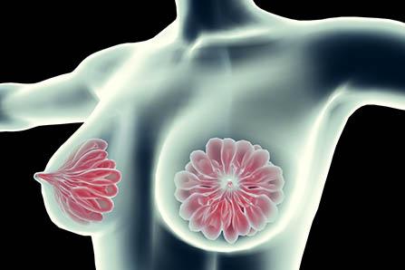 夏天喝羊奶上火吗