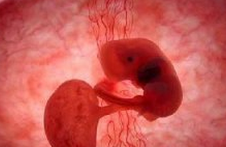 怀孕9周胚芽多大正常
