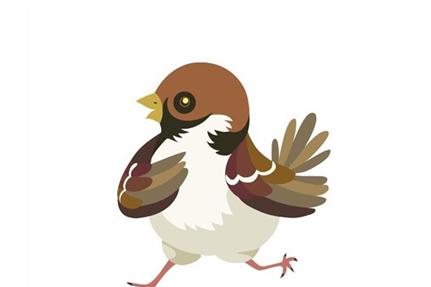 麻雀妈妈的疼爱的故事