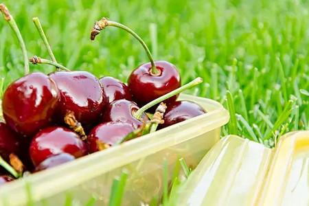 吃樱桃也有讲究，给宝宝的时候注意了！