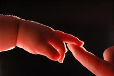 催产素会影响胎儿智力吗