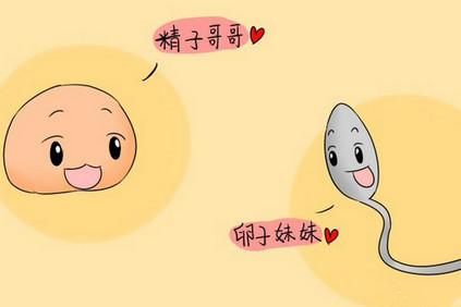 提高精子和卵子活力的食物，快速备孕一定不能错过！