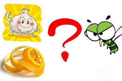 婴儿驱蚊方法，简单粗暴却很有效！