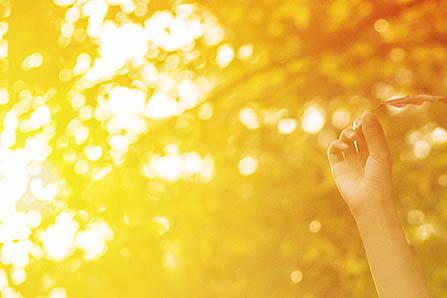 红星邦儿能奶粉