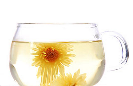 孕妇上火可以喝菊花茶吗