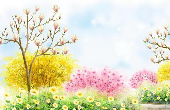 最美的小花的故事