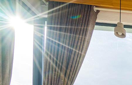 孕妈咪，能与喵星人、汪星人共处一室吗?