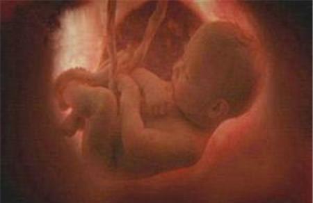 胎儿缺氧还会打嗝吗