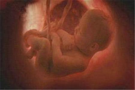 胎儿缺氧还会打嗝吗