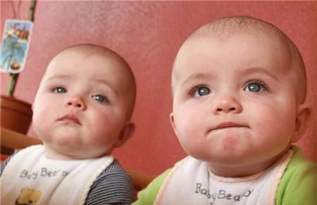 同卵双胞胎和异卵双胞胎的区别