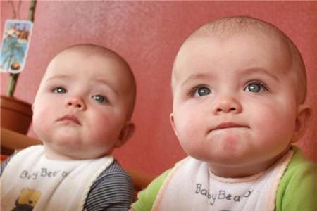 同卵双胞胎和异卵双胞胎的区别