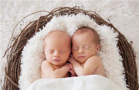 同卵双胞胎和异卵双胞胎的概率