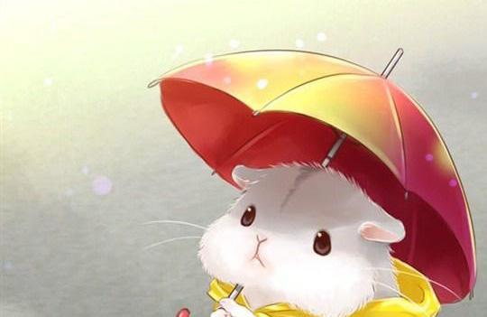 幸福的仓鼠小姐的故事