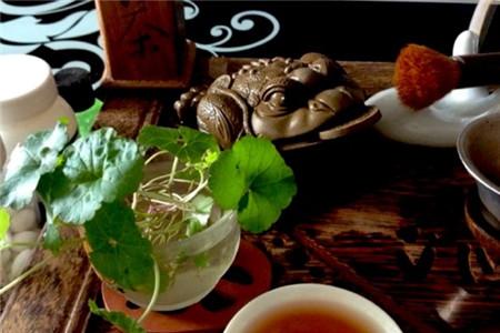 备孕期间可以喝茶叶水吗