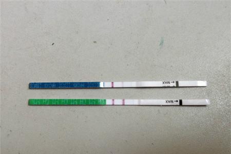 试纸备孕成功经验分享