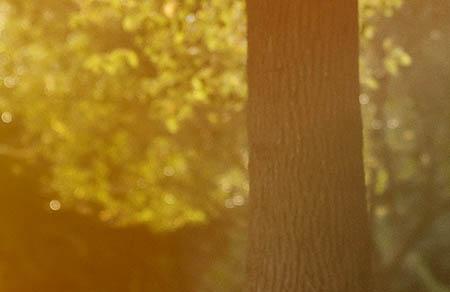 不同的程度的孕吐会造成不同的影响吗?都了解其中的原因吗