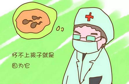 备孕一年未果，医生说竟是因为我老公精子长的太丑