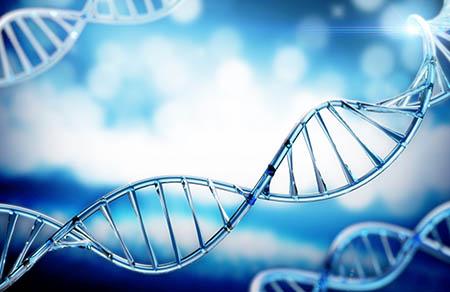 孕期女性夏日必备饮食攻略