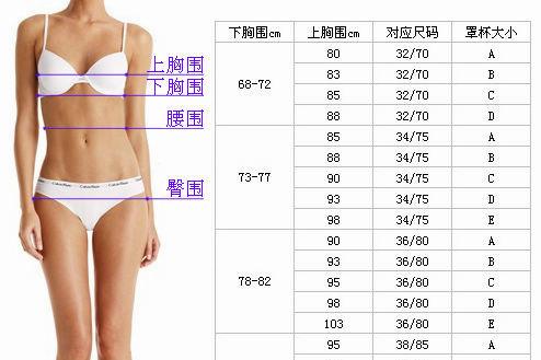女生罩杯的划分