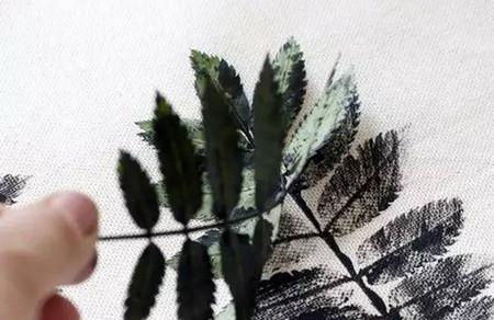 这些植物的一角，都可以和孩子一起创造艺术品