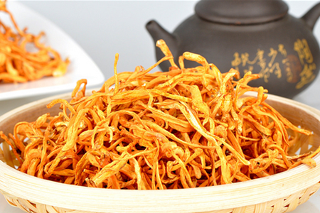 虫草花的功效与作用