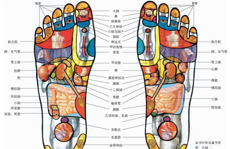 脚底穴位