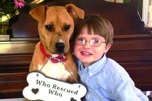 儿童忧郁症的原因