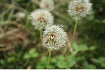 腌鸡蛋出油最好的方法