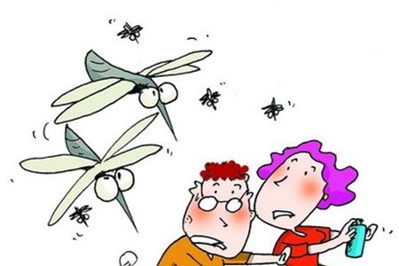灭蚊子最有效的方法