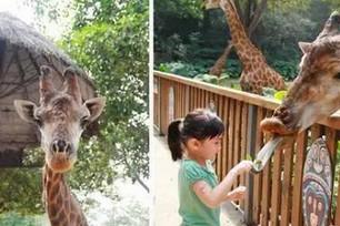 适合1-10岁宝贝的国内外暑假旅行地，全在这儿！