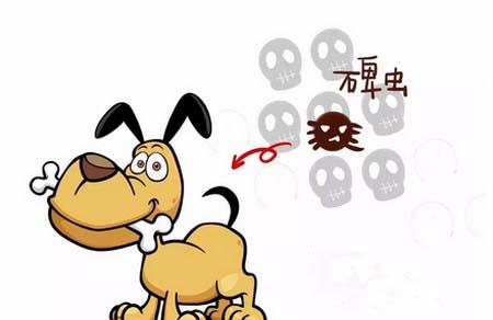 外出被吸血虫咬到生命垂危，妈妈痛哭流涕