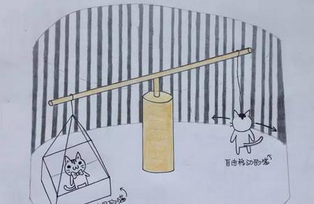 你是否正在把孩子培养成吊篮里的猫？