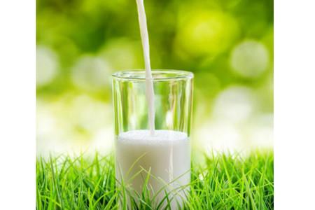  去除妊娠纹用什么产品最好？最有效的去妊娠纹的产品有哪些